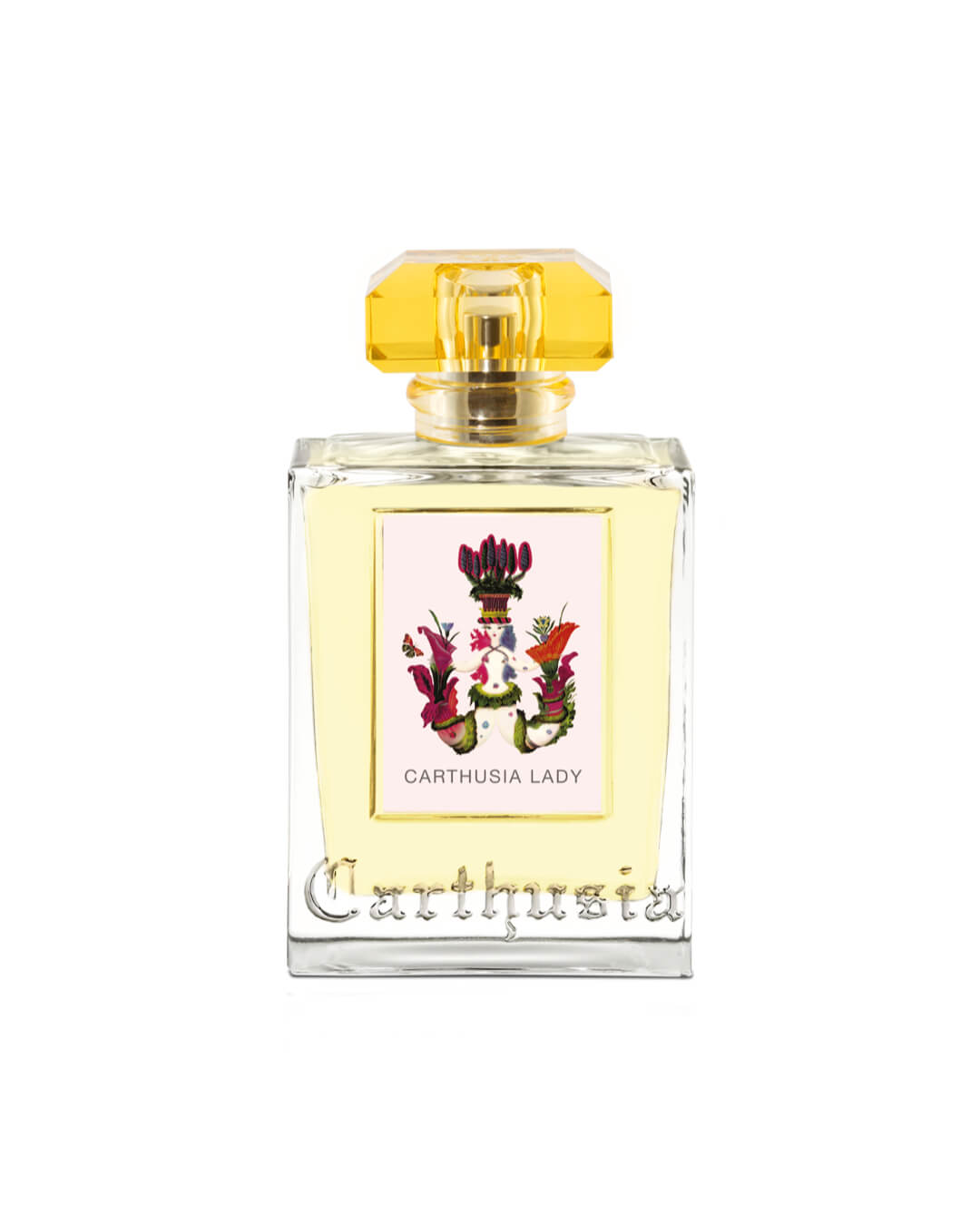 Carthusia Lady Carthusia
